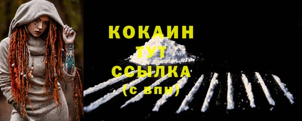 спайс Ельня