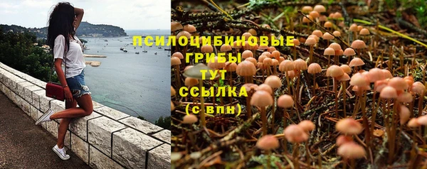 спайс Ельня