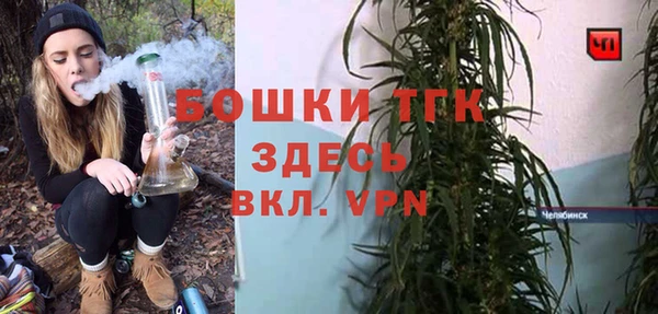 спайс Ельня