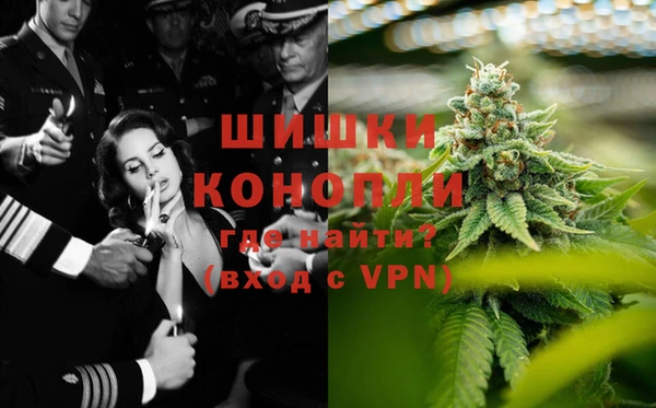 спиды Елизово