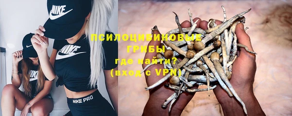 спайс Ельня
