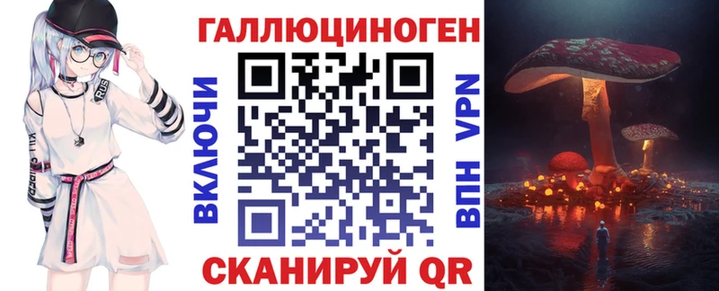 Псилоцибиновые грибы Psilocybine cubensis Бердск