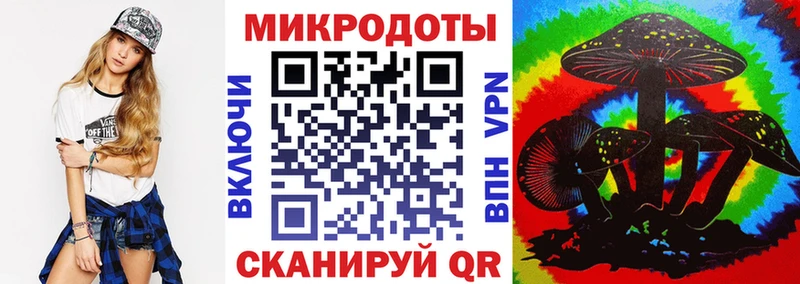 Купить закладки  Бердск  Галлюциногенные грибы MAGIC MUSHROOMS 